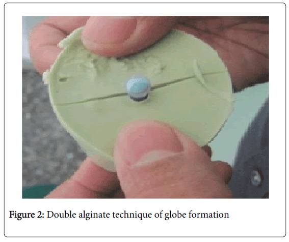 Medicine-Dental-Science-Double-alginate-technique