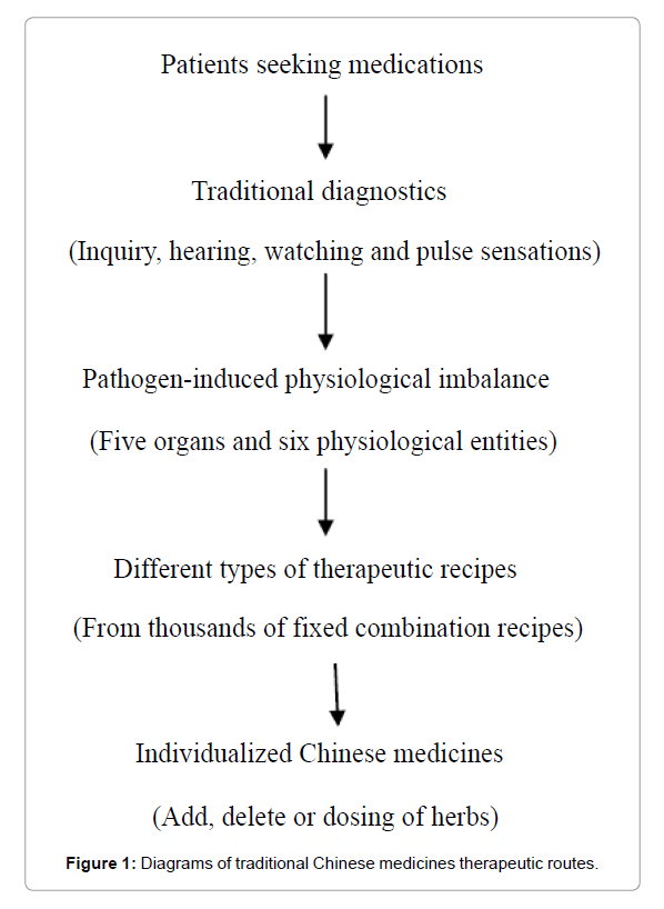 Metabolomics-Diagrams-traditional-Chinese-medicines