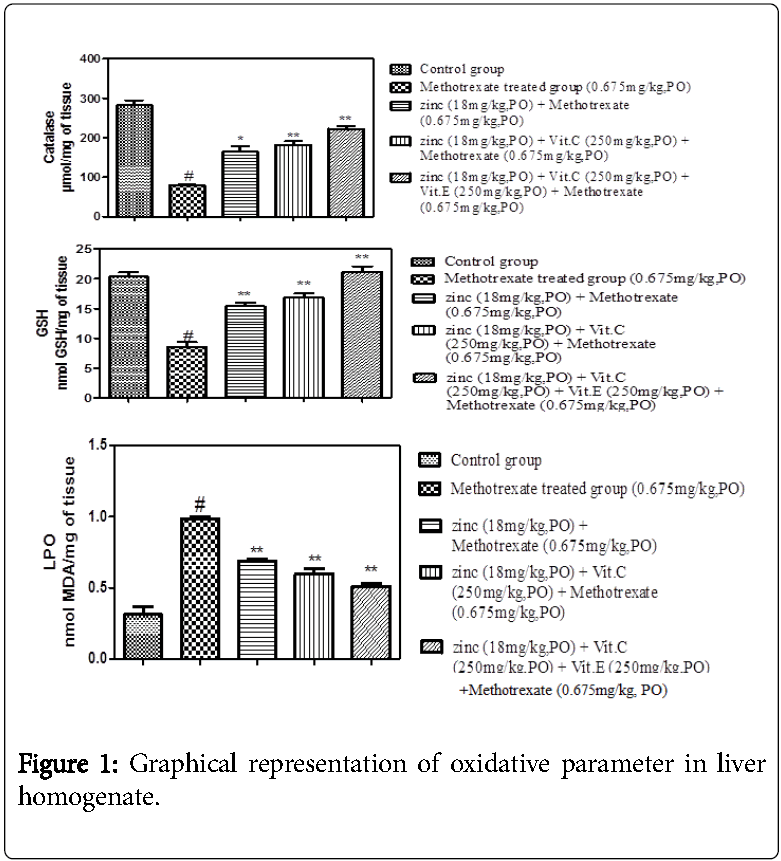 Methotrexate in spanish liver