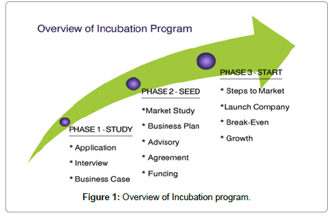 Image result for Enterprise Incubation Program images
