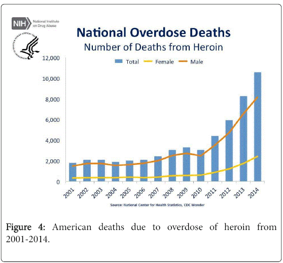 addiction-research-therapy-American-deaths