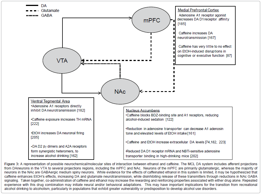 addiction-research-experimental-ethanol-increase