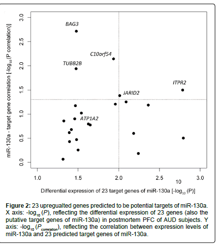 addiction-research-experimental-potential-targets