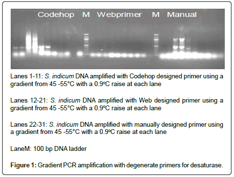 advances-crop-science-Gradient-PCR