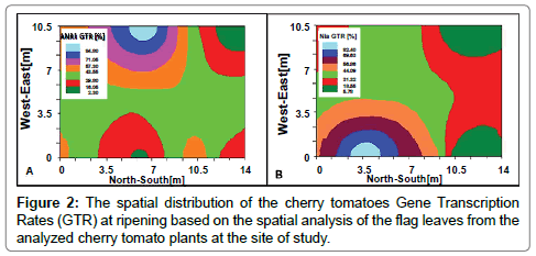 advances-crop-science-effect-cherry-tomatoes