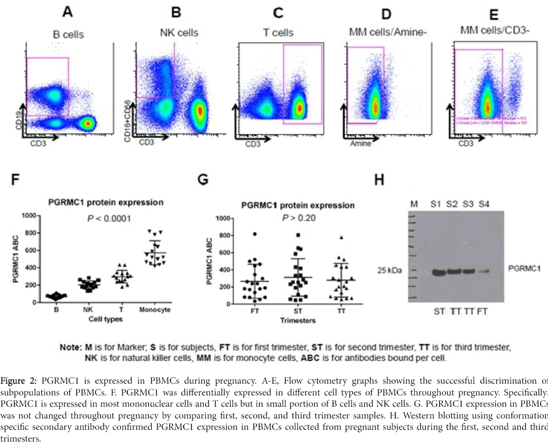 advances-molecular-diagnostics-PGRMC1-expressed-PBMCs