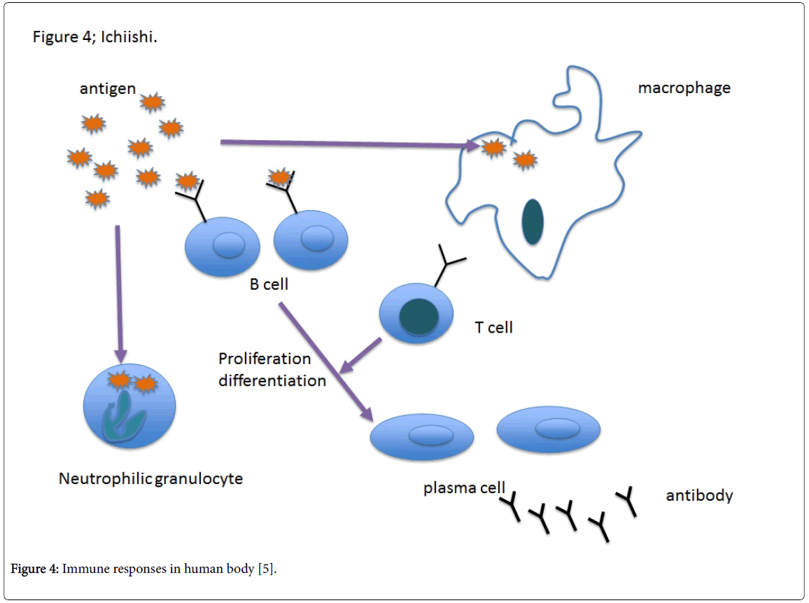 Oxidative Stress and Diseases: Current Topics and Perspective with ...