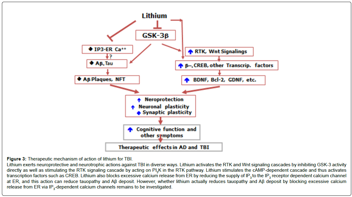 alzheimers-disease-parkinsonism-Lithium-activates