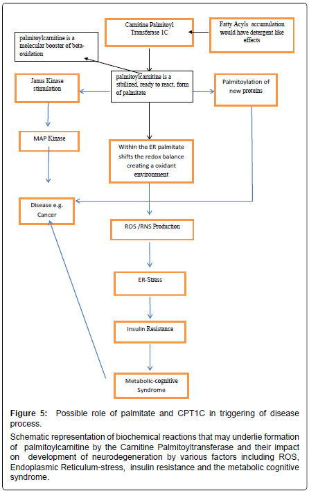 alzheimers-disease-parkinsonism-Possible-role