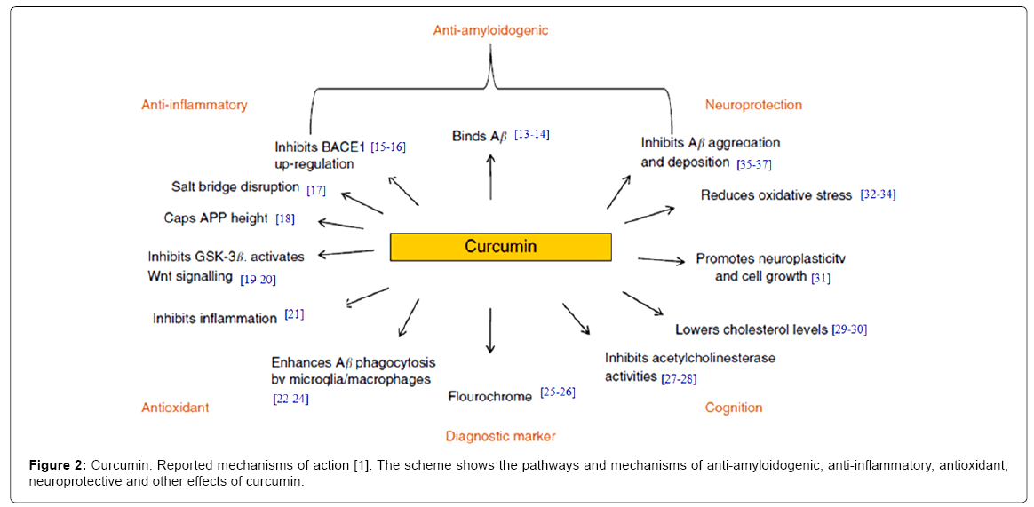 alzheimers-disease-parkinsonism-Reported-mechanisms