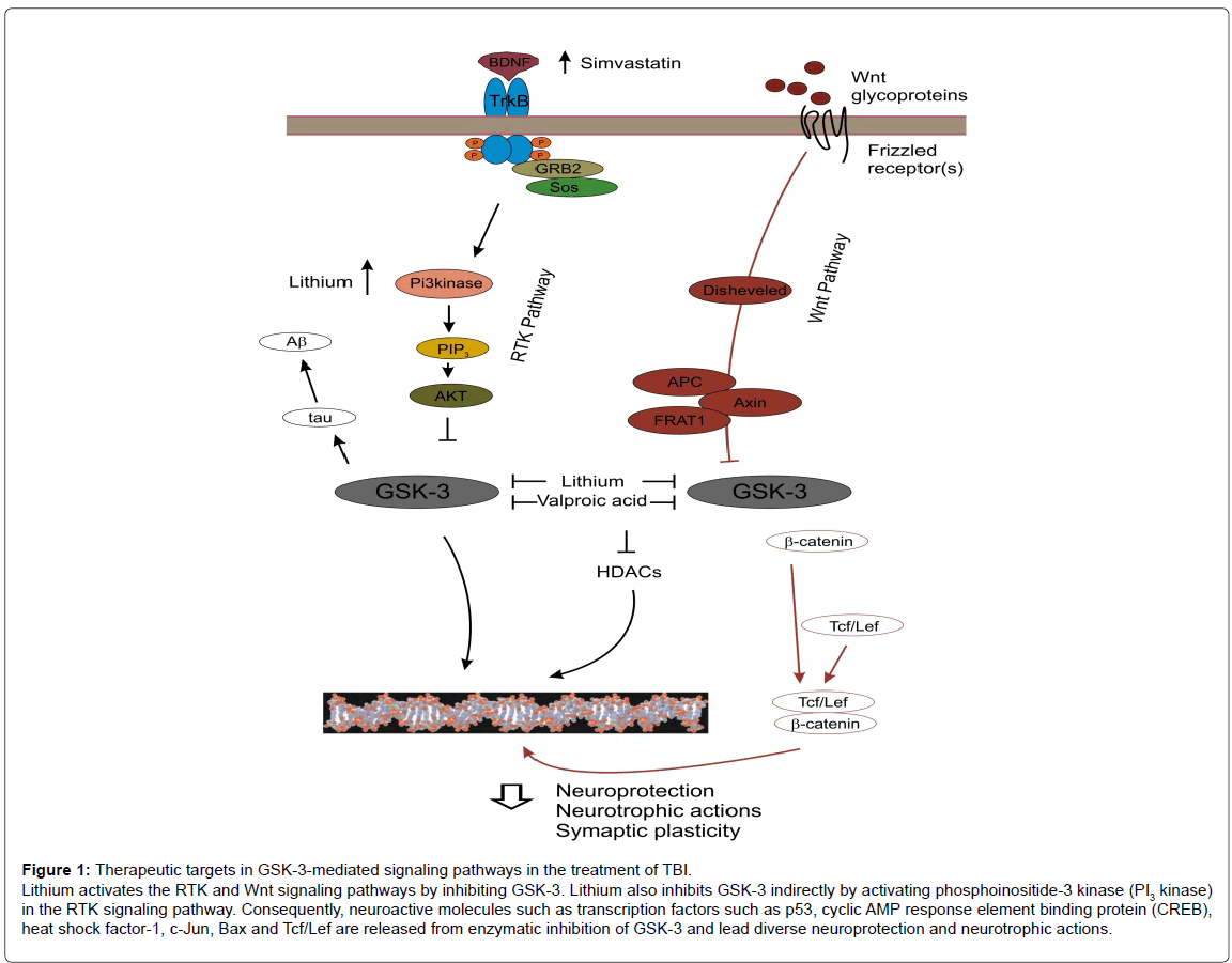 alzheimers-disease-parkinsonism-binding-domain