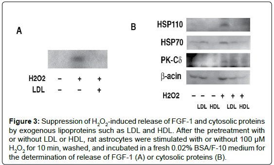 alzheimers-disease-parkinsonism-exogenous-lipoproteins