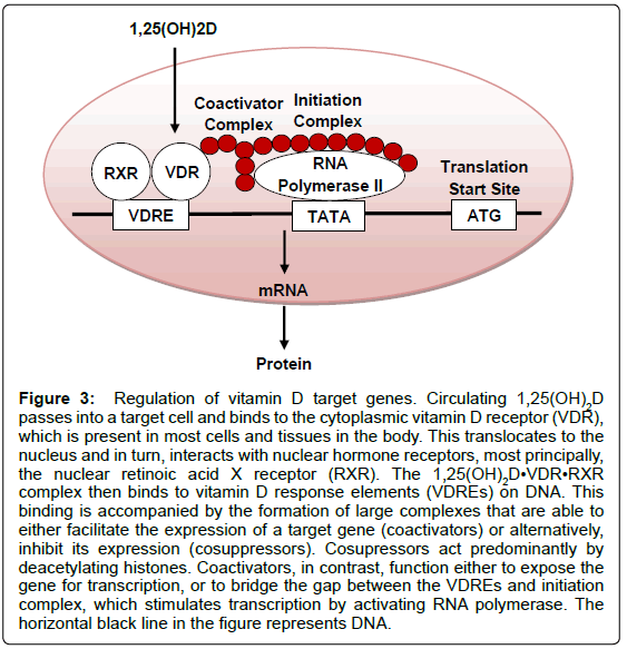 alzheimers-disease-parkinsonism-large-complexes