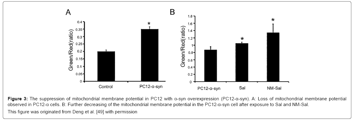 alzheimers-disease-parkinsonism-mitochondrial-membrane