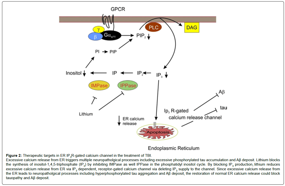 alzheimers-disease-parkinsonism-phosphorylated-accumulation