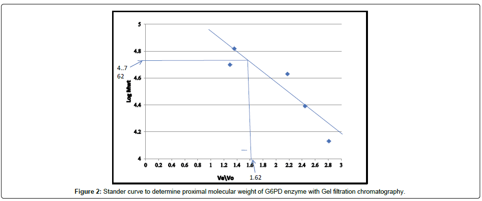 analytical-bioanalytical-Stander-curve