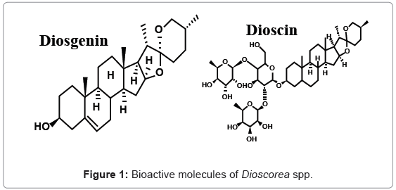 analytical-bioanalytical-techniques-Bioactive-molecules-Dioscorea