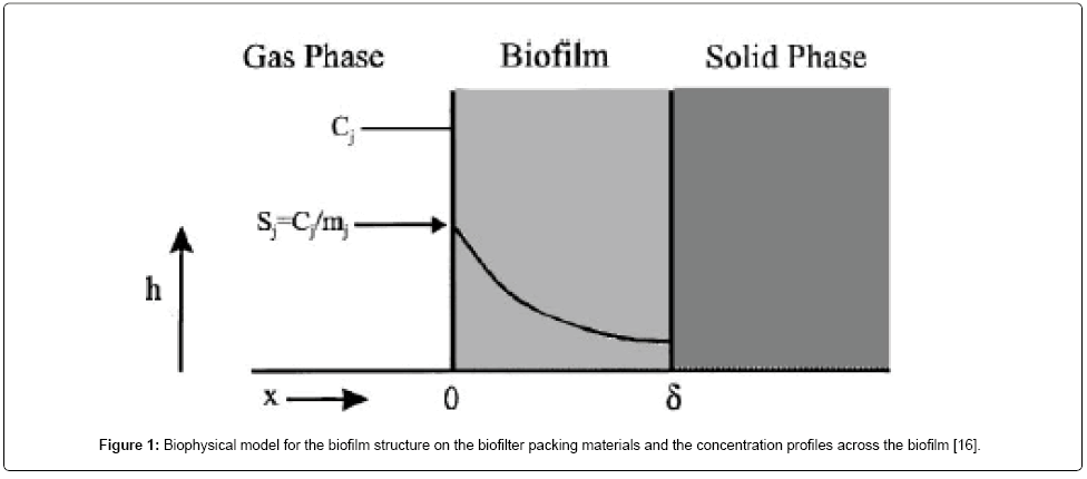 analytical-bioanalytical-techniques-Biophysical-model