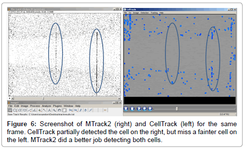 analytical-bioanalytical-techniques-CellTrack-partially-detected