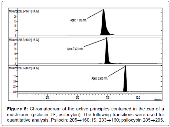 analytical-bioanalytical-techniques-Chromatogram-mushroom-transitions