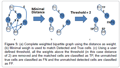 analytical-bioanalytical-techniques-Complete-weighted-bipartite-graph