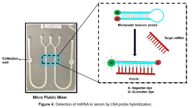 analytical-bioanalytical-techniques-Detection-serum-hybridization