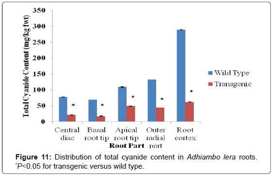 analytical-bioanalytical-techniques-Distribution-cyanide-transgenic