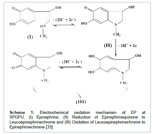 analytical-bioanalytical-techniques-Electrochemical-oxidation-mechanism