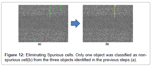 analytical-bioanalytical-techniques-Eliminating-Spurious-cells