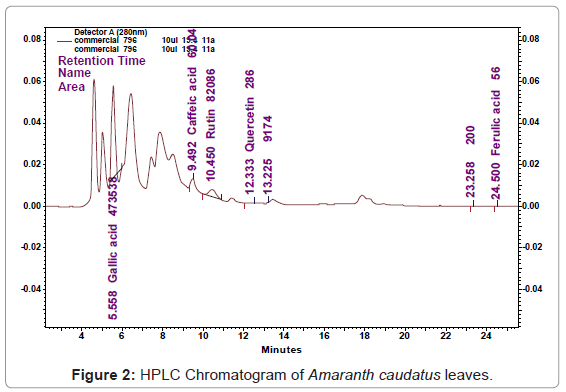 analytical-bioanalytical-techniques-HPLC-Chromatogram-leaves