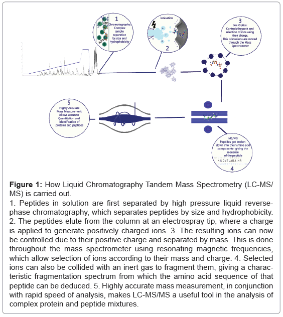 analytical-bioanalytical-techniques-Liquid-Chromatography-Tandem