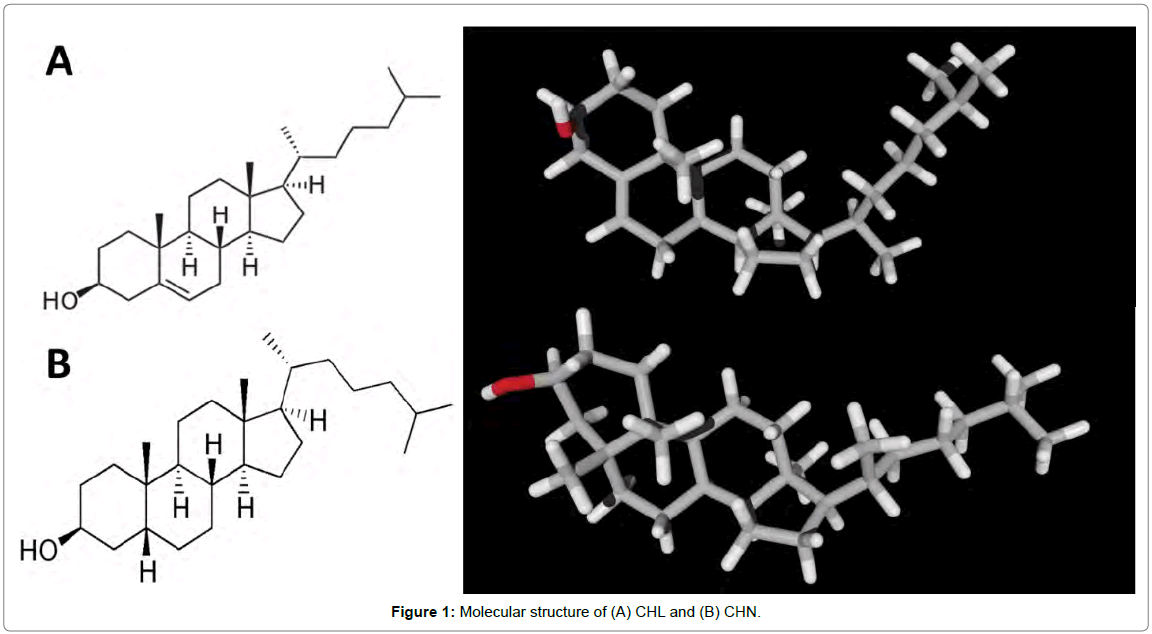 analytical-bioanalytical-techniques-Molecular-structure-CHL