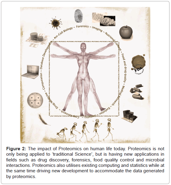 analytical-bioanalytical-techniques-Proteomics-human-traditional