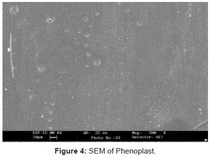 analytical-bioanalytical-techniques-SEM-Phenoplast