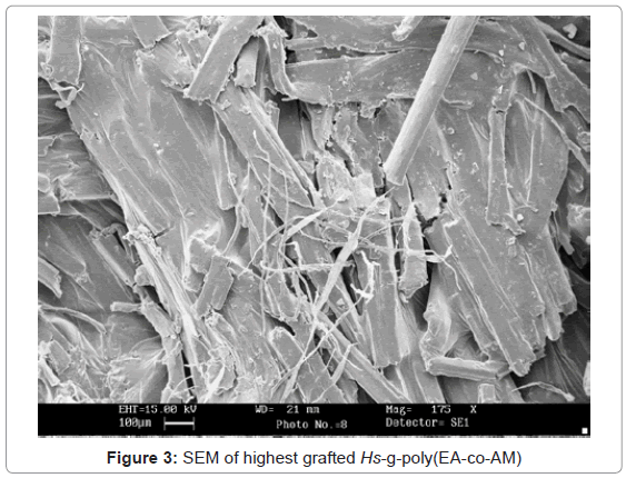 analytical-bioanalytical-techniques-SEM-highest-grafted