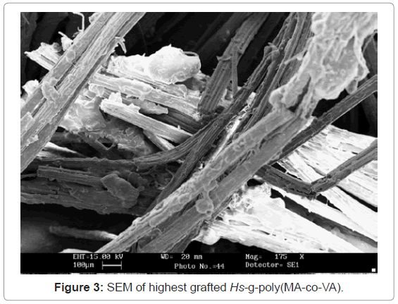 analytical-bioanalytical-techniques-SEM-highest-grafted