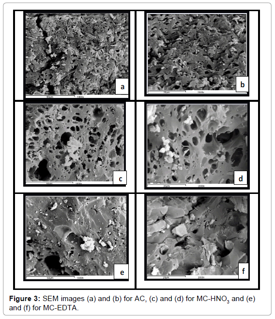 analytical-bioanalytical-techniques-SEM-images-EDTA