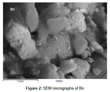 analytical-bioanalytical-techniques-SEM-micrographs