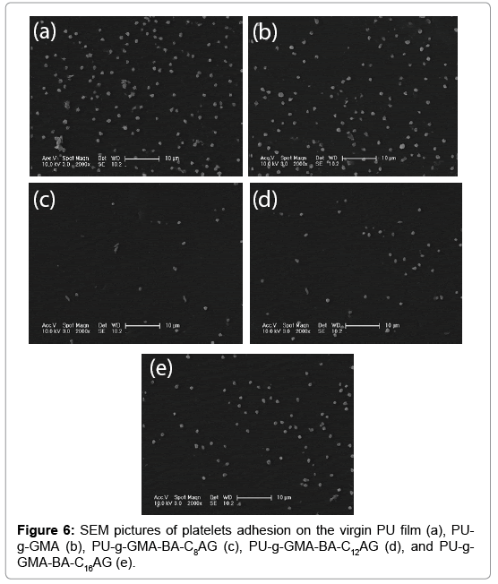 analytical-bioanalytical-techniques-SEM-pictures