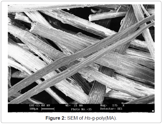 analytical-bioanalytical-techniques-SEM-poly-MA