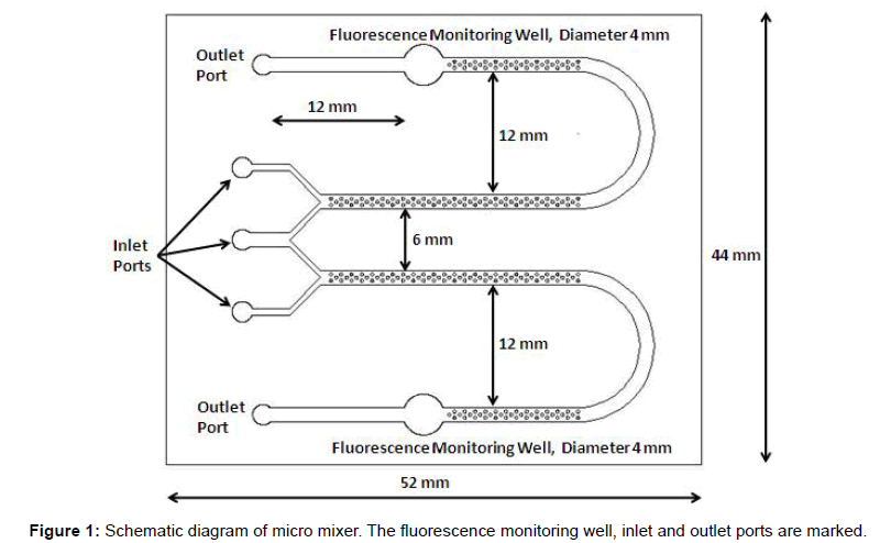 analytical-bioanalytical-techniques-Schematic-micro-fluorescence