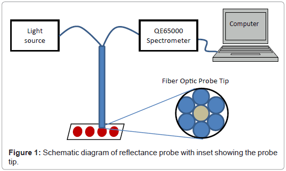 analytical-bioanalytical-techniques-Schematic-reflectance-probe
