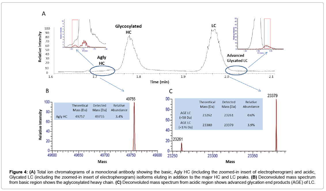 analytical-bioanalytical-techniques-Total-ion