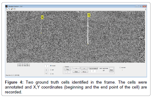 analytical-bioanalytical-techniques-Two-ground-truth-cells-identified-frame