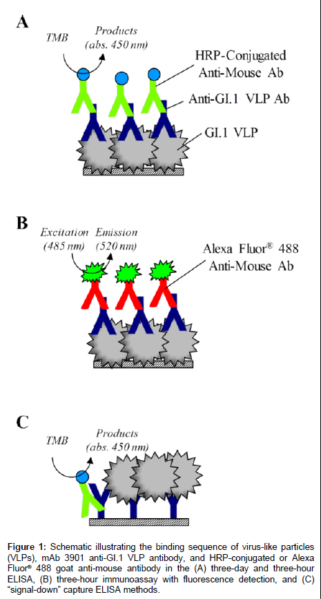 analytical-bioanalytical-techniques-binding-sequence