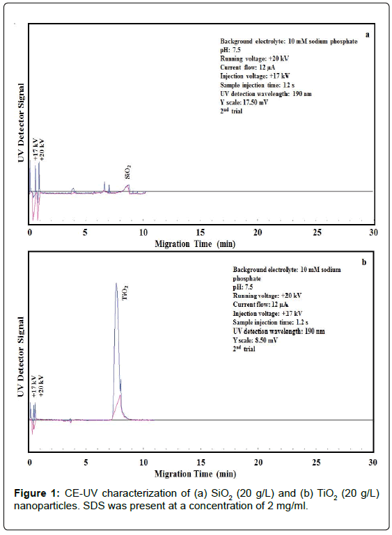 analytical-bioanalytical-techniques-characterization-nanoparticles-SDS