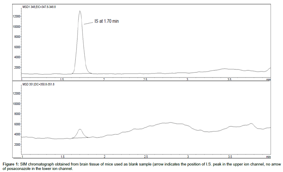 analytical-bioanalytical-techniques-chromatograph