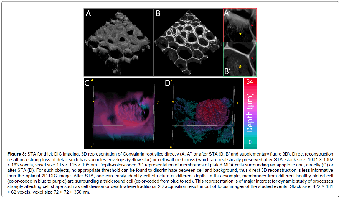 analytical-bioanalytical-techniques-imaging-Convalaria-directly