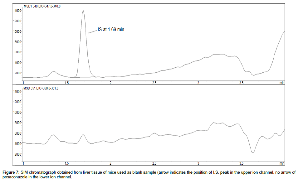 analytical-bioanalytical-techniques-lower-ion-channel