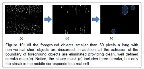 analytical-bioanalytical-techniques-non-vertical-short-objects-discarded